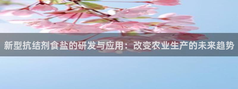 威九国际免费ppt网址