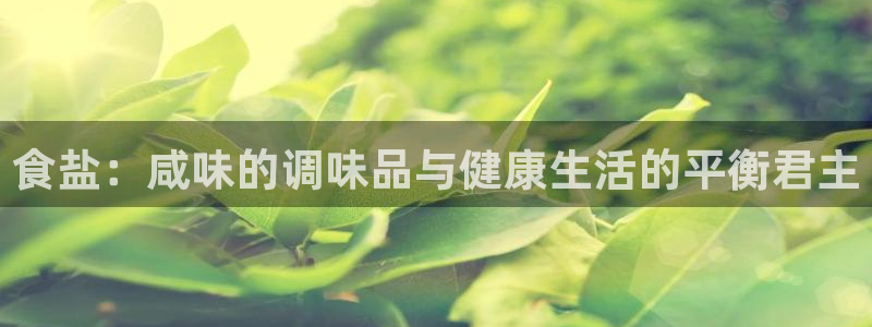 威九国际小说：食盐：咸味的调味品与健康生活的平衡君主