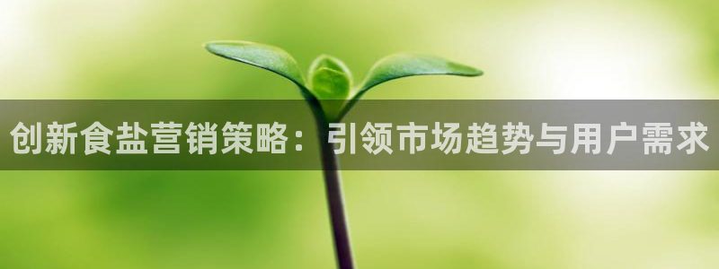 威九国际ppt免费下载网址