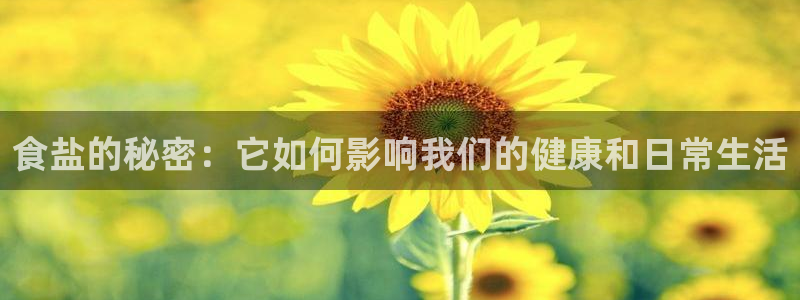 威九国际网站入囗