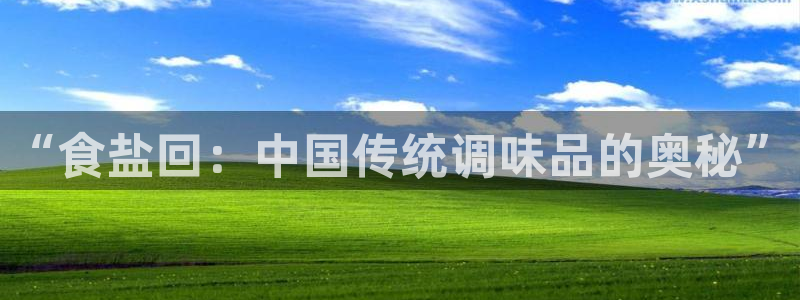 威九国际软件公司简介